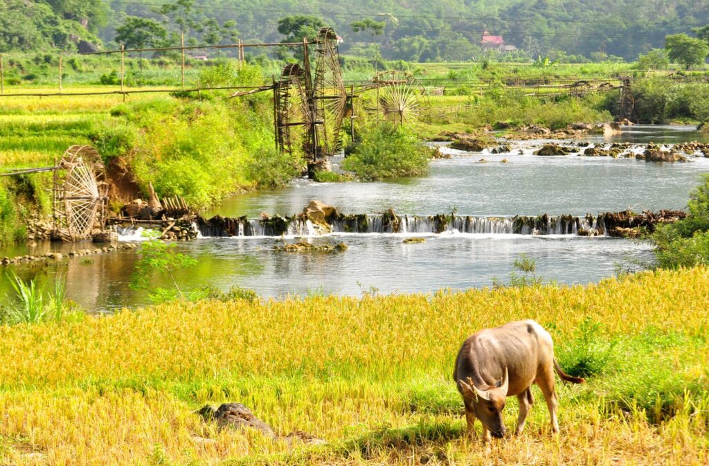 kinh-nghiem-du-lich-pu-luong-thanh-hoa