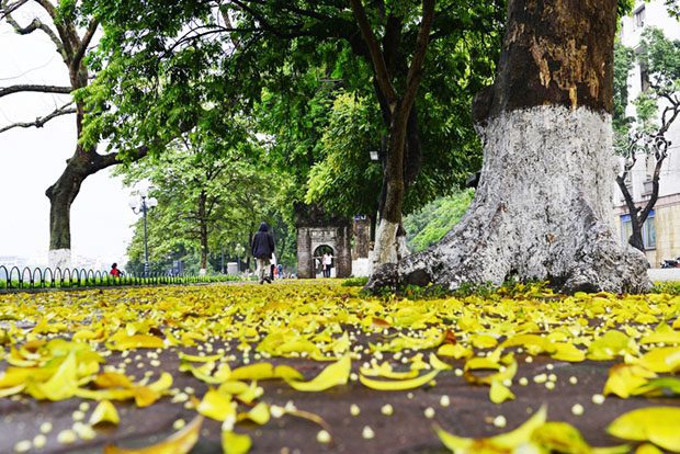 kinh-nghiem-di-du-lich-ha-noi-41